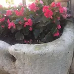 Il Gelso Bianco * Cocumola