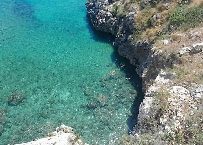 Il Gelso Bianco