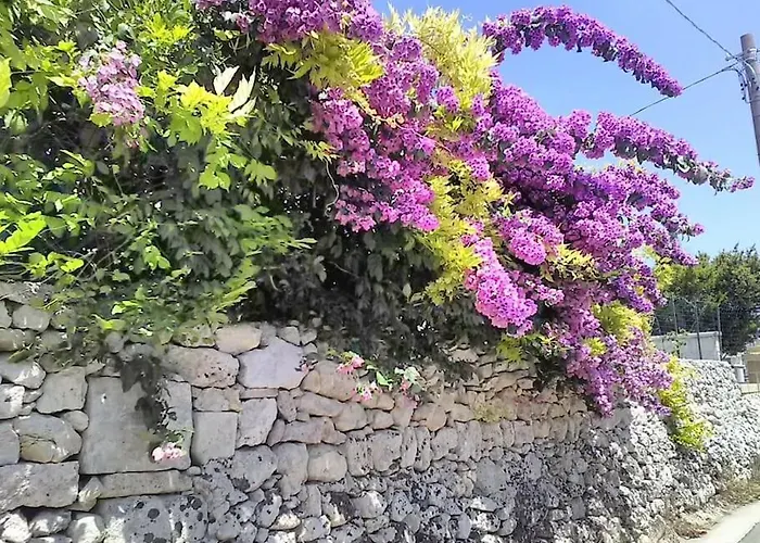 Il Gelso Bianco Lejlighed