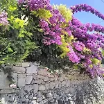 Il Gelso Bianco Appartamento