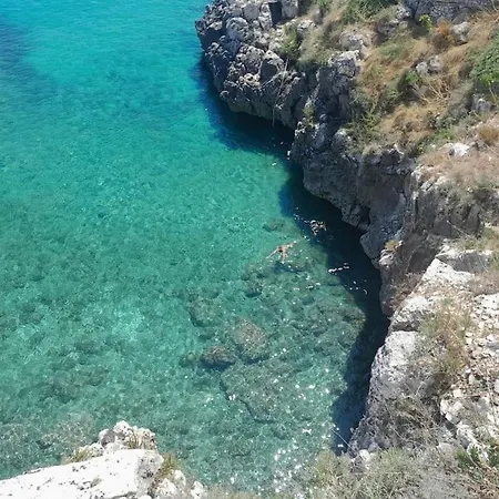 Il Gelso Bianco