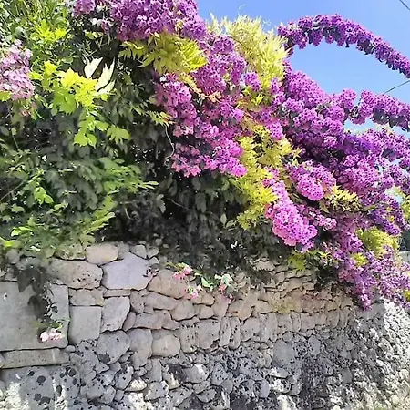 Il Gelso Bianco 公寓