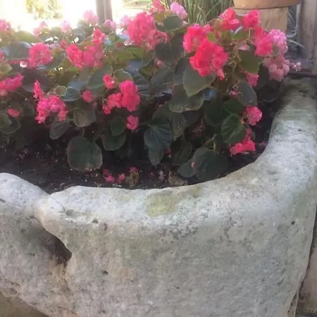 Il Gelso Bianco * Cocumola