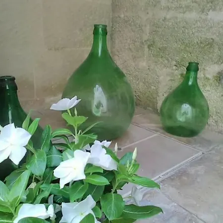 Daire Il Gelso Bianco *