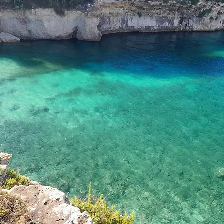 Il Gelso Bianco Cocumola